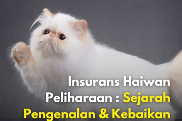 Insurans Haiwan Peliharaan