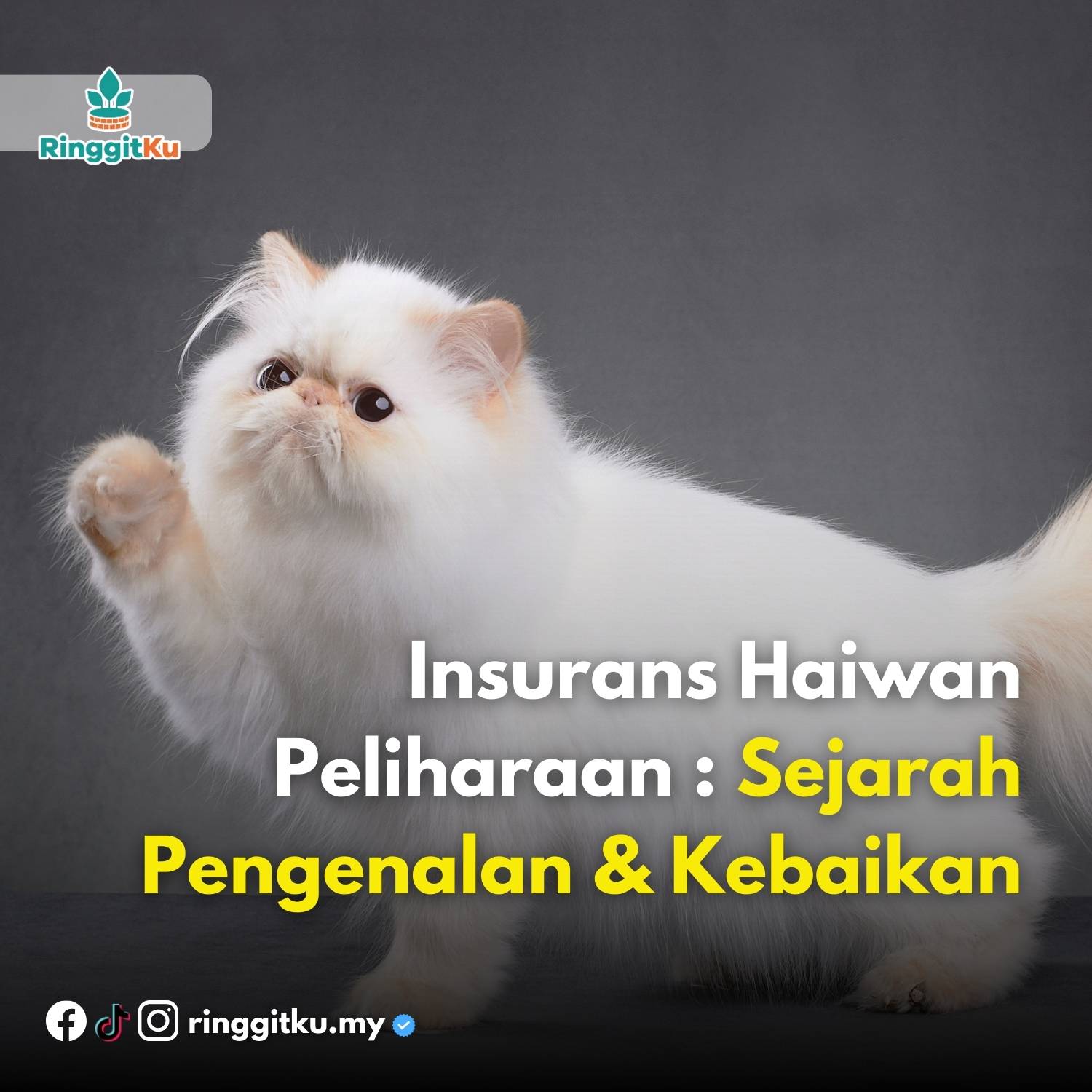 Insurans Haiwan Peliharaan