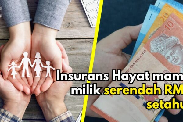 insurans hayat